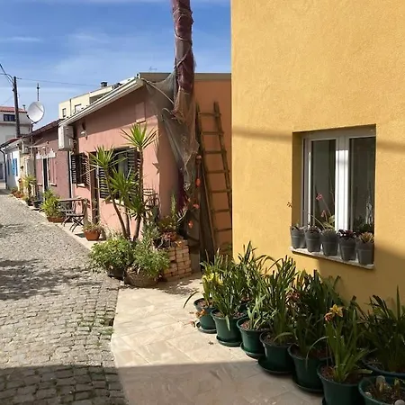 Casa Nova *